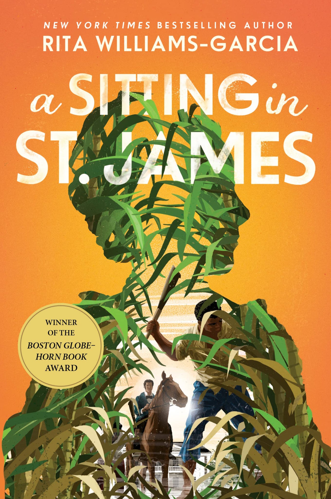 A Sitting in St. James - Paperback