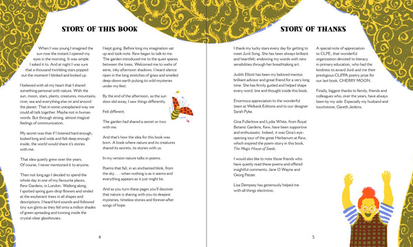 When Poems Fall From The Sky - Paperback
