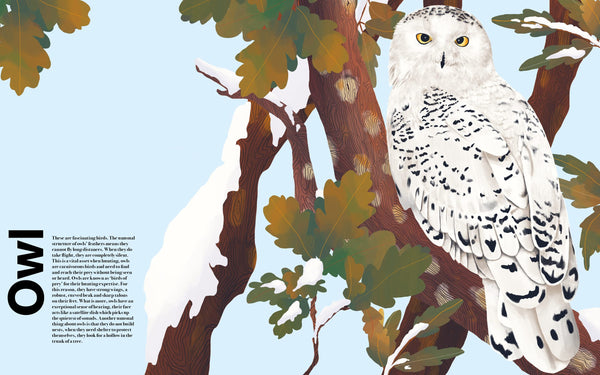 Undercover Birds - Hardback