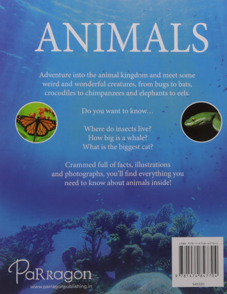 Animals - Hardback