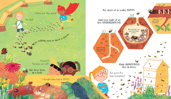 Can we really help the bees? - Hardback