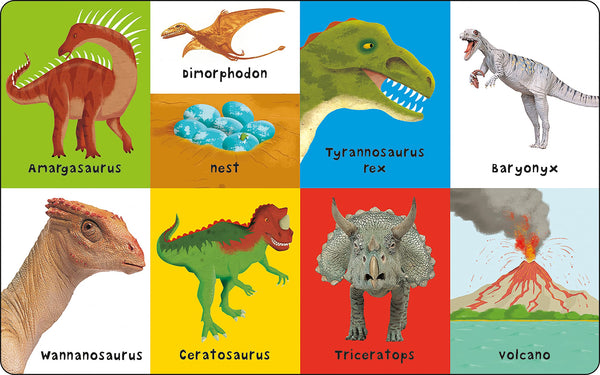 First 100: First 100 Dinosaurs - Board Book