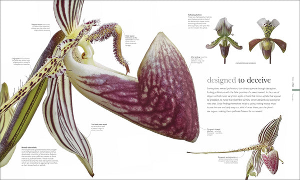 The Science of Plants : Inside Their Secret World - Hardback