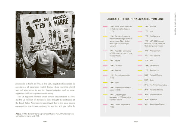 Badly Behaved Women : The History Of Modern Feminism - Hardback