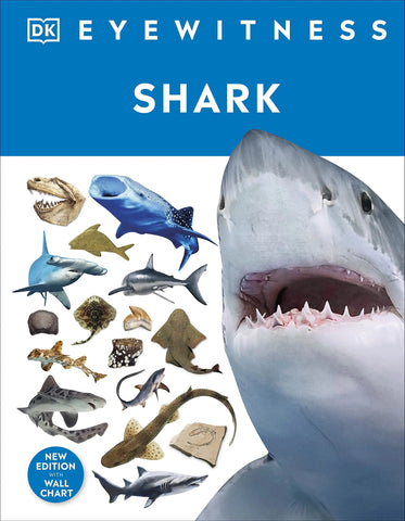 DK Eyewitness : Shark - Hardback