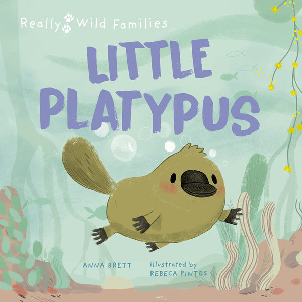Really Wild Families : Little Platypus: A Day In The Life Of A Platypus Puggle - Hardback