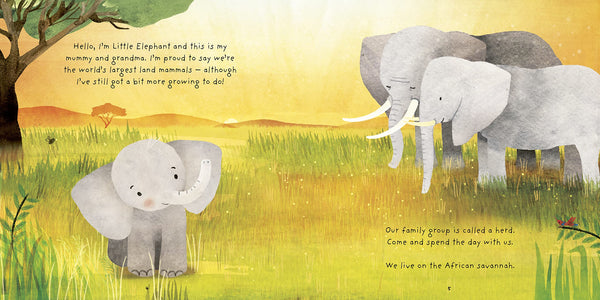 Really Wild Families : Little Elephant: A Day In The Life Of A Elephant Calf - Hardback