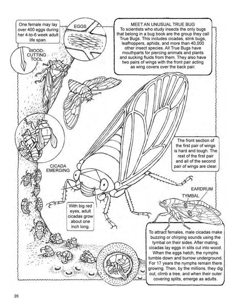 Dover Children's Science Books : My First Book About Bugs - Paperback