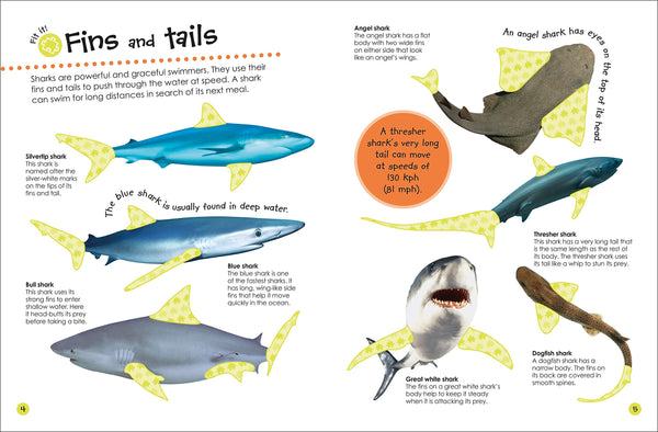 Ultimate Sticker Book Sharks - Paperback