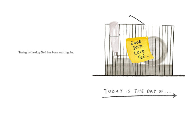 Ned and the Great Garden Hamster Race: a story about kindness - Paperback