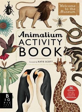 Animalium Activity Book - Paperback