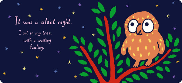 Little Owl and the Christmas Star: A Nativity Story - Boardbook