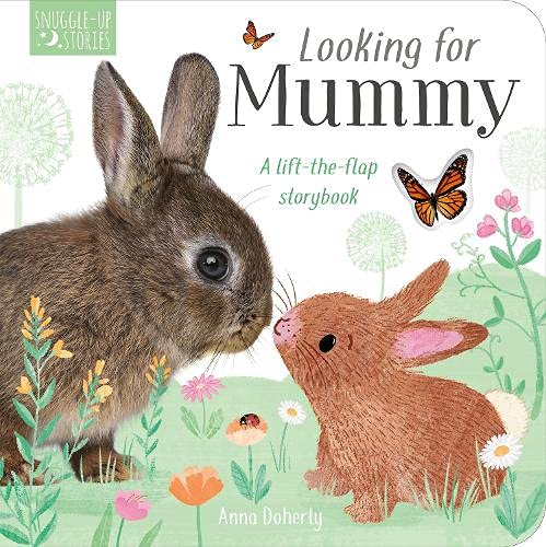 Looking for Mummy - Board Book