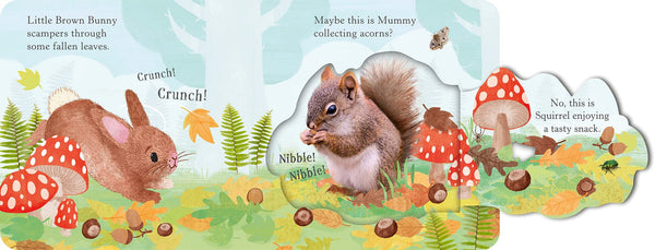 Looking for Mummy - Board Book
