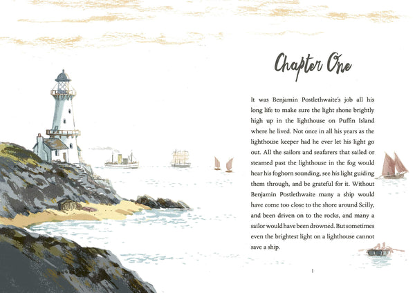 The Puffin Keeper - Hardback