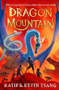 Dragon Realm #1 : Dragon Mountain - Paperback