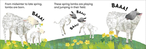 Jonny Lambert's Farm - Board Book