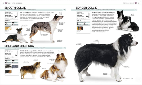 The Complete Dog Breed Book : Choose the Perfect Dog for You - Hardback