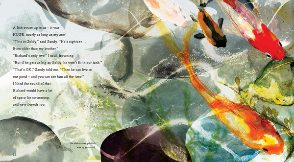 My Pet Goldfish - Hardback