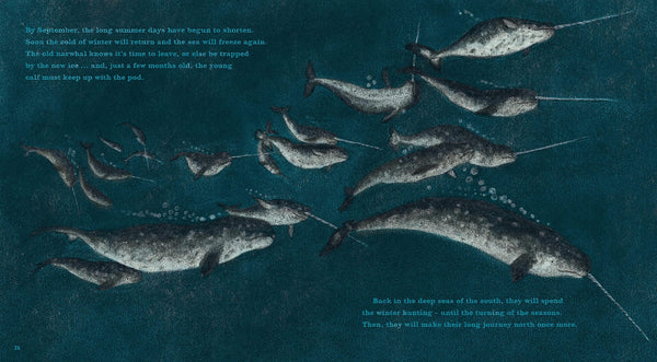 Narwhal : The Arctic Unicorn - Hardback