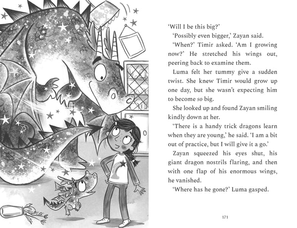 Luma And The Grumy  Dragon - Paperback