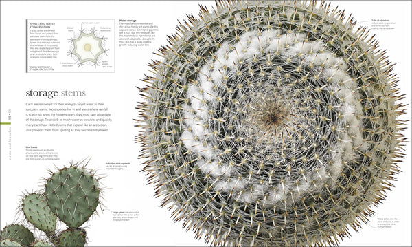 The Science of Plants : Inside Their Secret World - Hardback