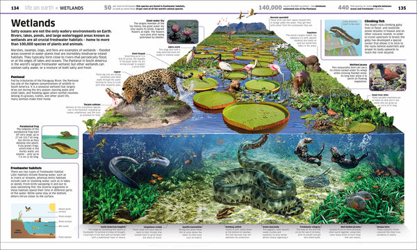 Knowledge Encyclopedia Earth!: Our Exciting World As You've Never Seen It Before (Knowledge Encyclopedias) - Hardback