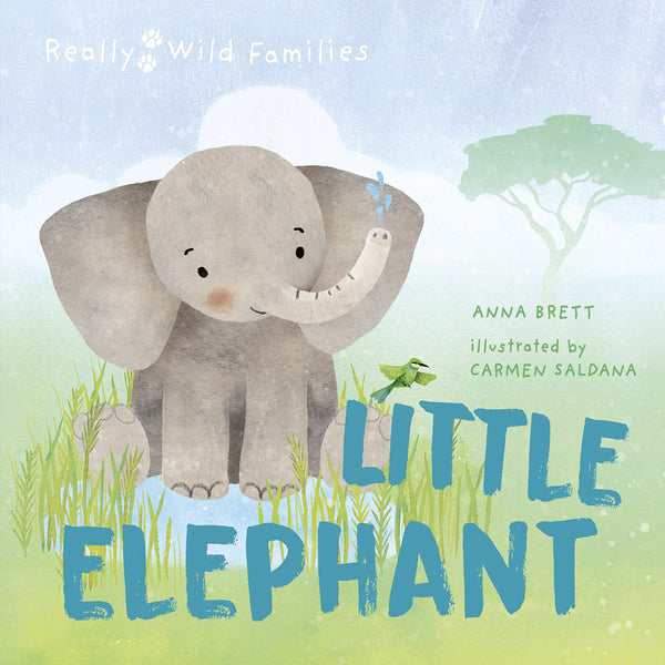 Really Wild Families : Little Elephant: A Day In The Life Of A Elephant Calf - Hardback