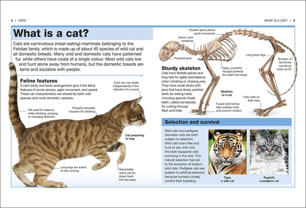 Cats: Facts at Your Fingertips (Pocket Eyewitness) - Paperback