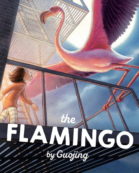 The Flamingo: A Graphic Novel Chapter Book - Hardback