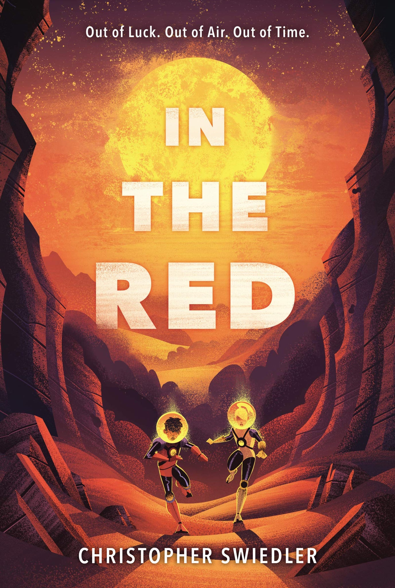 In The Red - Paperback