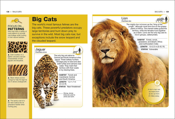 Cats: Facts at Your Fingertips (Pocket Eyewitness) - Paperback