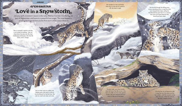 What Are You Doing Today, Mother Nature? - Hardback