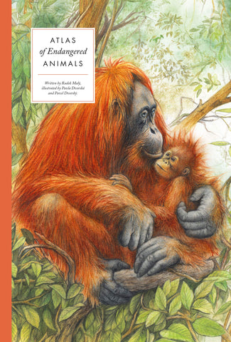 Atlas of Endangered Animals (Large Encyclopedias of Animals) - Hardback