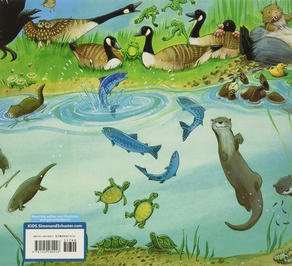 Bear Counts Pa - Paperback