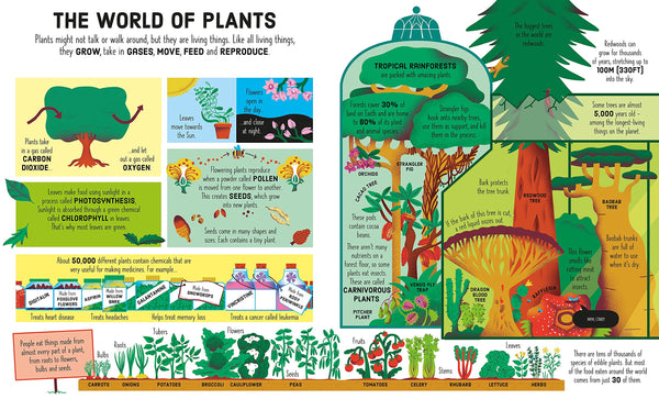 Usborne Book And Jigsaw: Tree Of Life Staple Bound