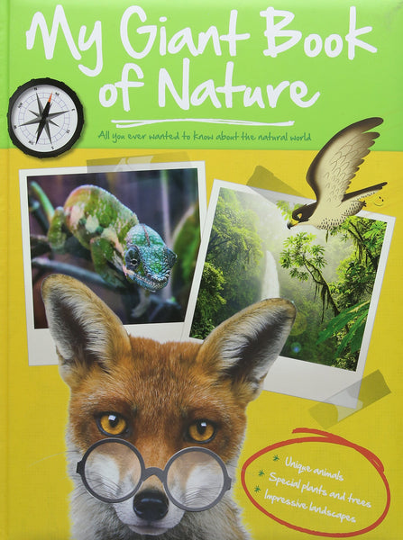My Giant Book of Nature - Paperback