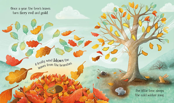 One Little Tree - Board Book