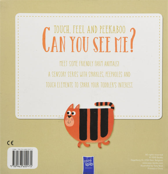 Touch, Feel and Peekaboo : Can you see me? - Board Book