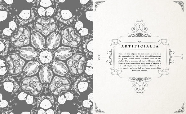 World Of Weird - Hardback