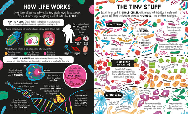 Usborne Book And Jigsaw: Tree Of Life Staple Bound