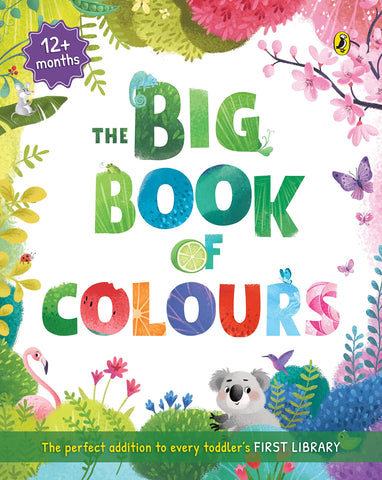 The Big Book of Colours (Fun Activities, Identify Colours, First Words, Spellings) - Board Book