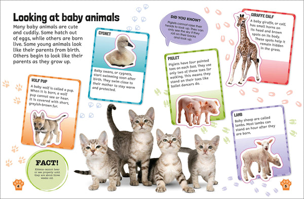 Sticker Encyclopedia Baby Animals - Paperback