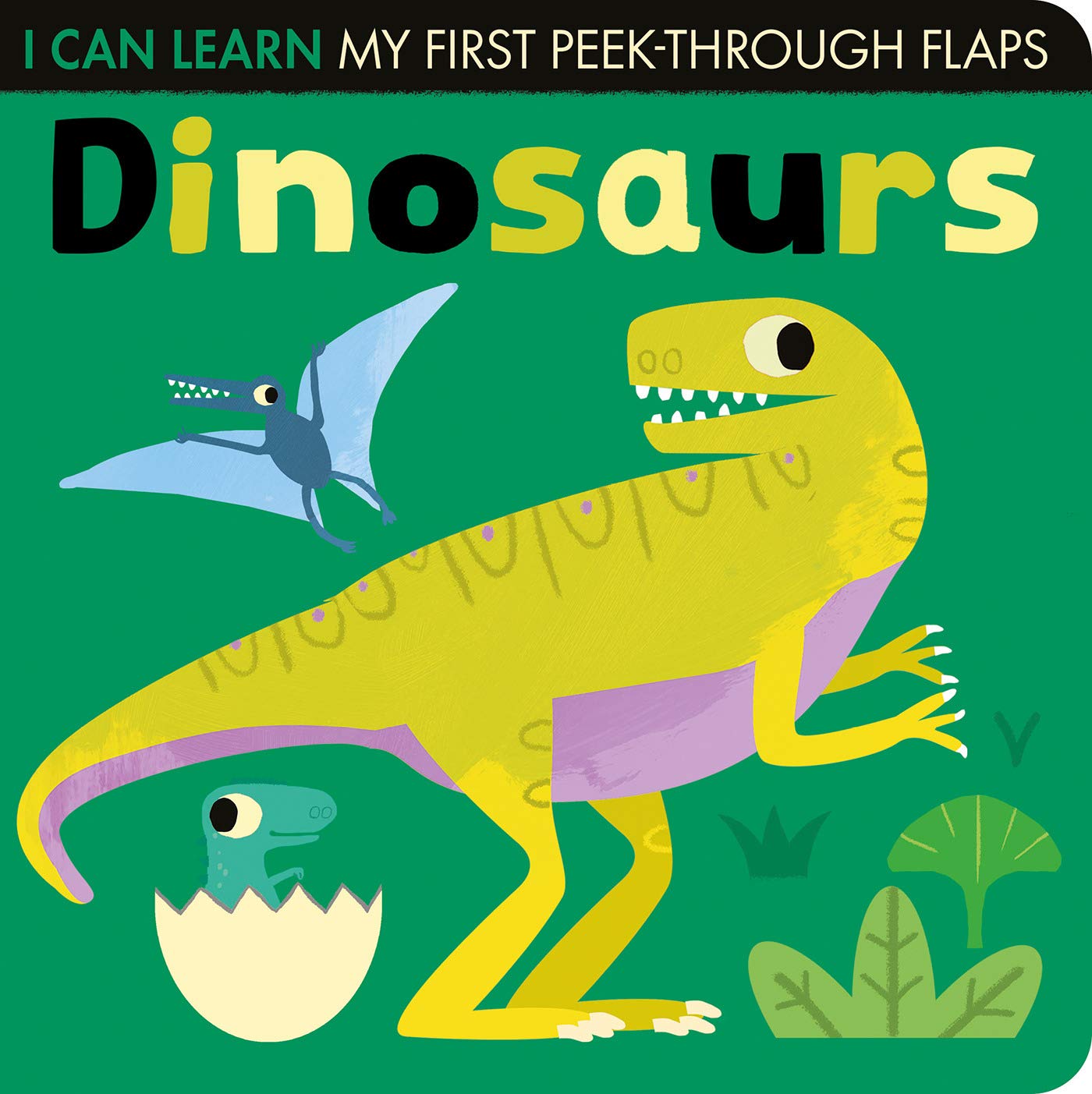 I Can Learn : Dinosaurs  - Boardbook