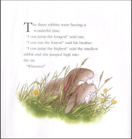 A Percy the Park Keeper Story : The rescue party - Paperback