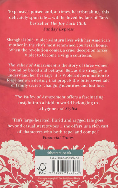 The Valley of Amazement - Paperback