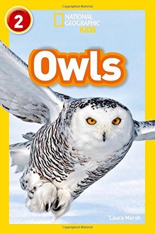 National Geographic Reader Level 2 : Owls - Paperback