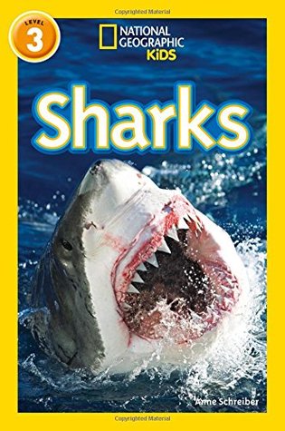 National Geographic Reader Level 3 : Sharks - Paperback