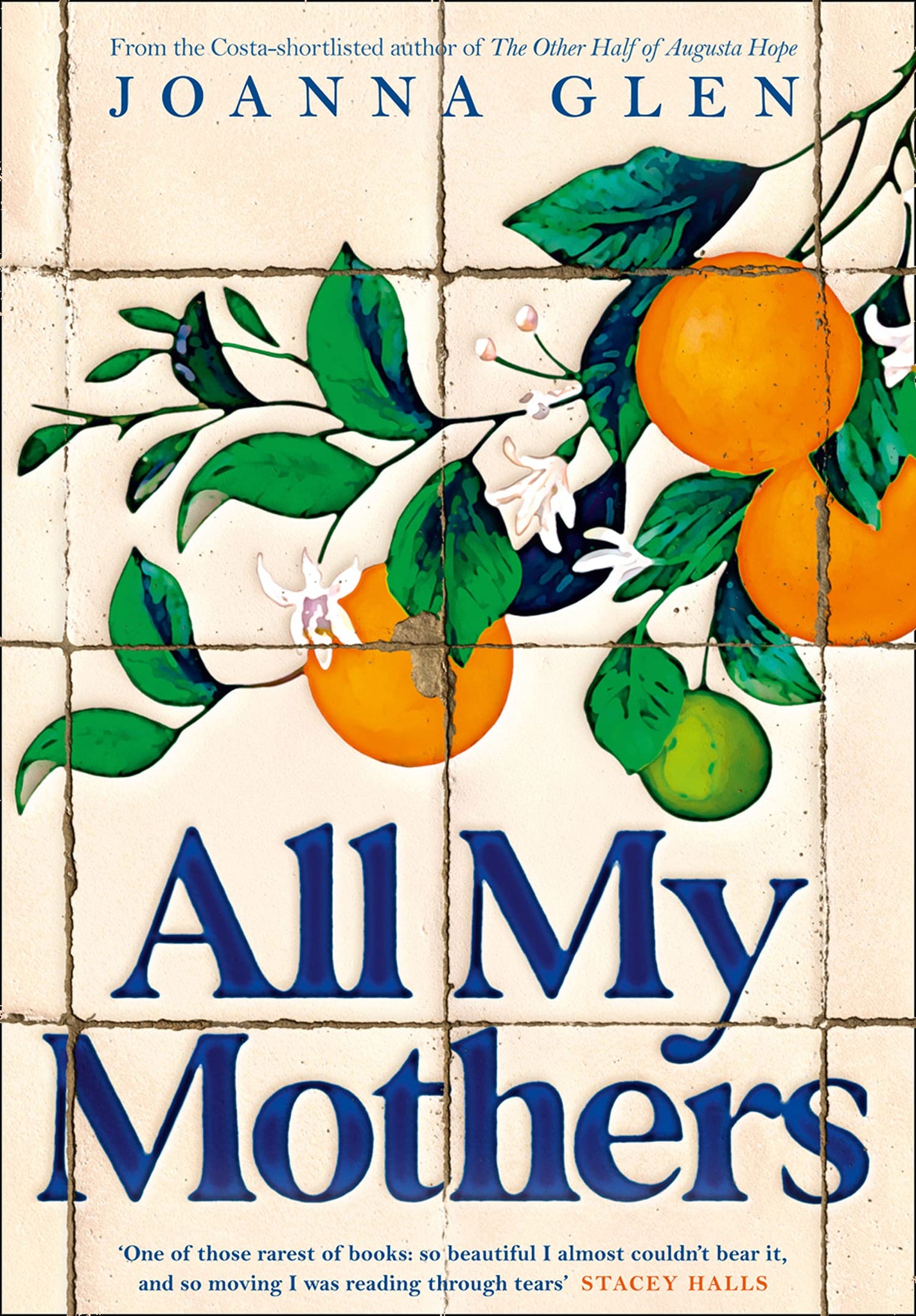 All My Mothers : The heart-breaking new novel from the author of the Costa-shortlisted debut - Paperback