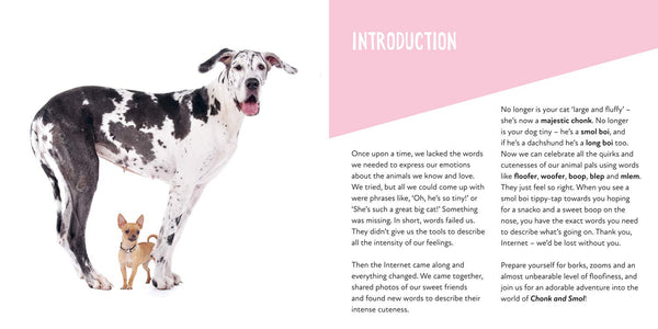 Chonk and Smol: Puppers, Woofers, Floofers and Frens - Hardback